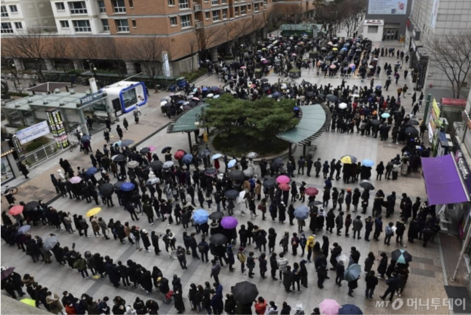 Areal view of very many people queuing in a public plaza. Several of them are covering themselves with umbrellas.